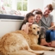 Home Security with Pets - DTM Installations Home Security with Pets